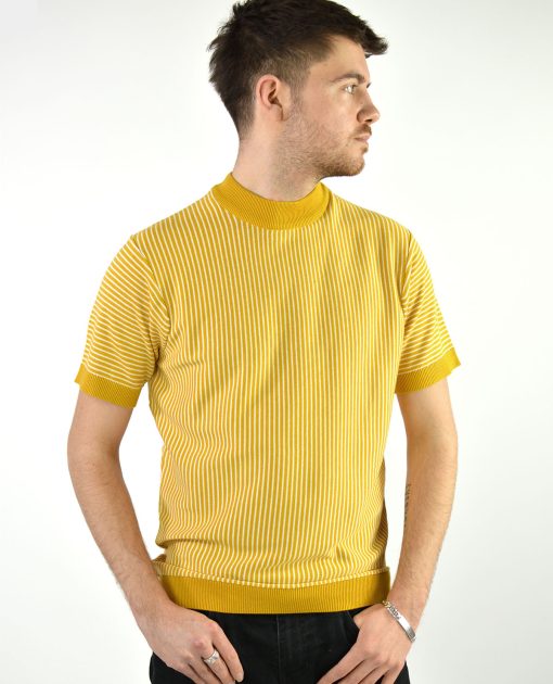 The 'Wilson' In Golden Sun - Brian Wilson (The Beach Boys) Inspired Top